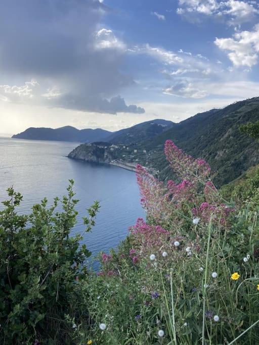 Al Geko Del Groppo ☆ Breath & Relax ☆ 5 Terre Vila Volastra Exterior foto